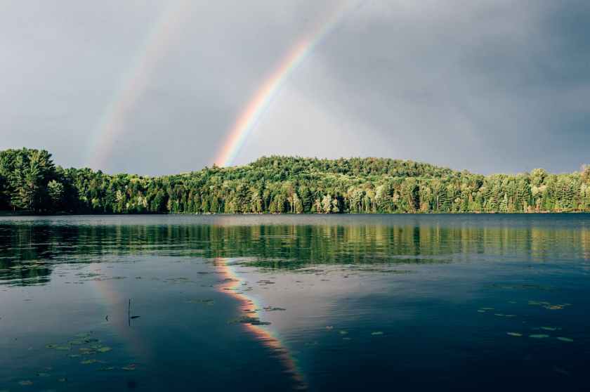 photo of rainbow above trees